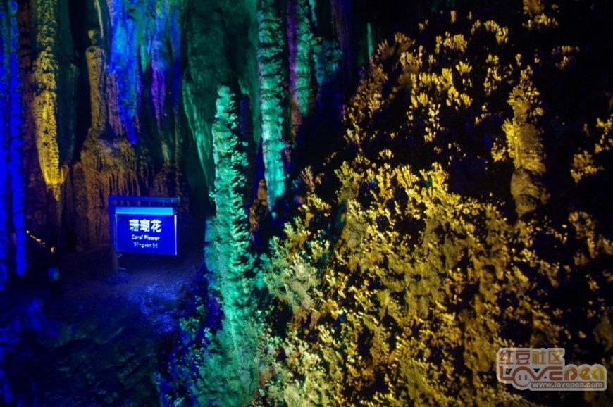 并网发电一次成功！西安交大又创“全球首个”成果