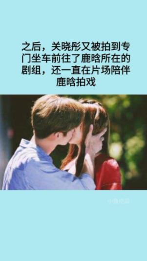 救援呆萌的猫